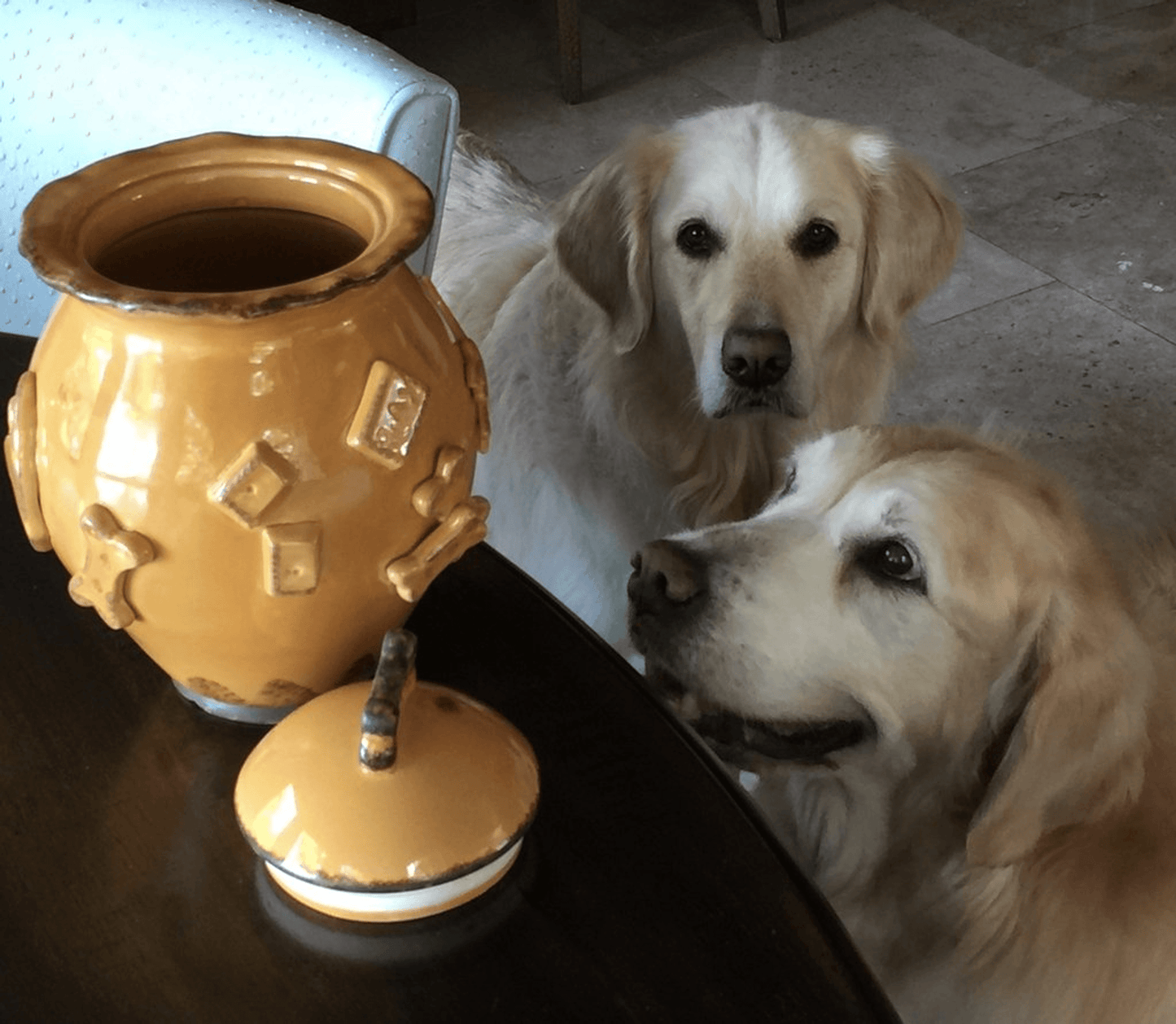 Elegant Stoneware Dog Treat Jar with Matching Bowls