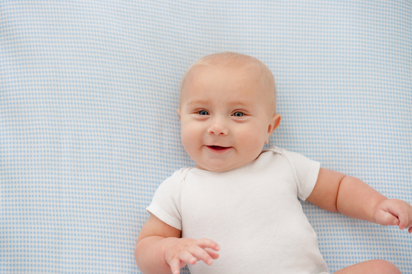 SheetWorld Fitted Youth Bed Sheet - 100% Cotton Jersey - Blue Gingham,