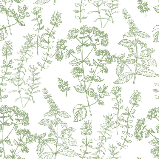 Handrawn Botanicals Wallpaper