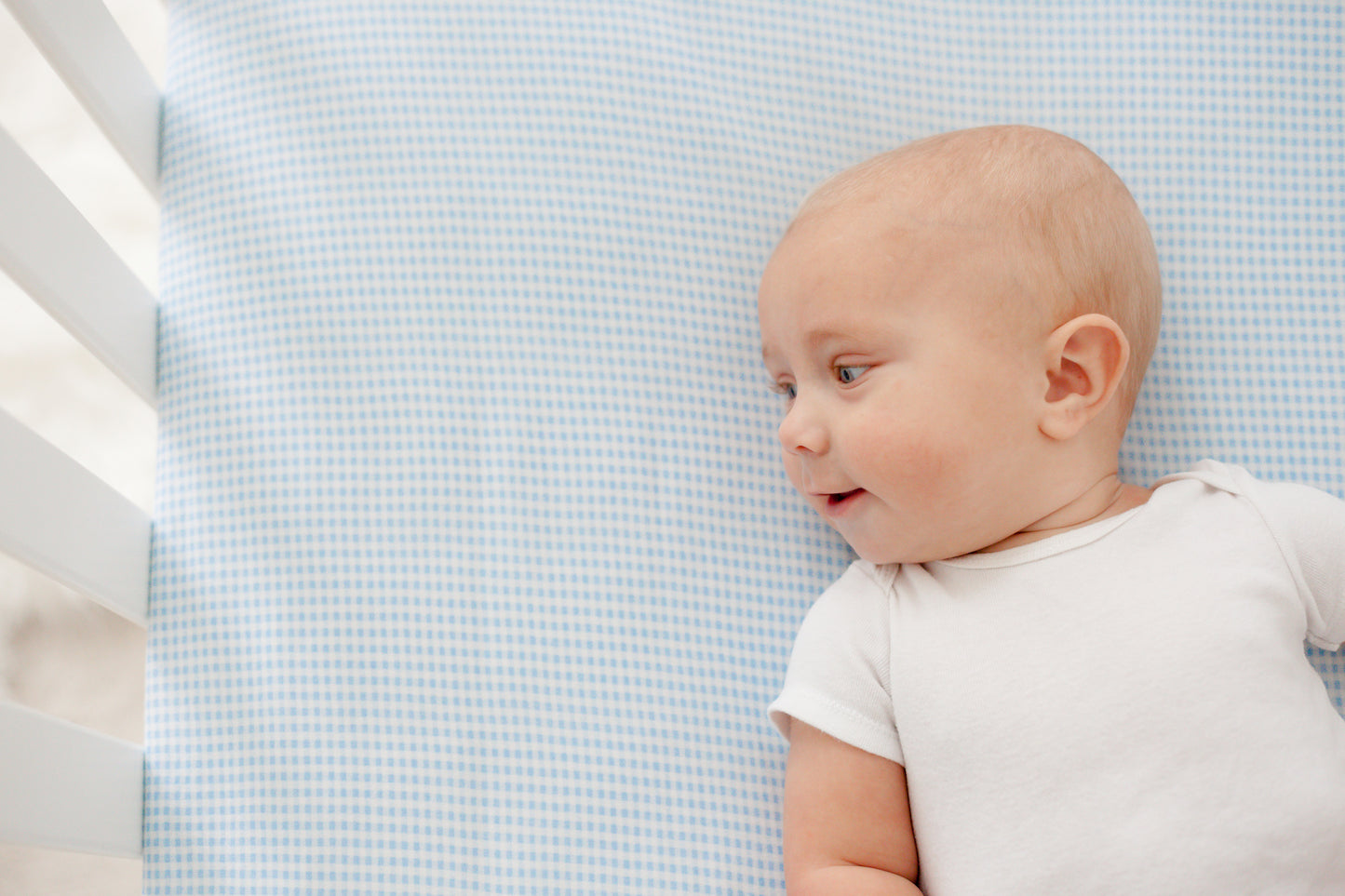 SheetWorld Fitted Crib Sheet - 100% Cotton Jersey - Blue Gingham, Made
