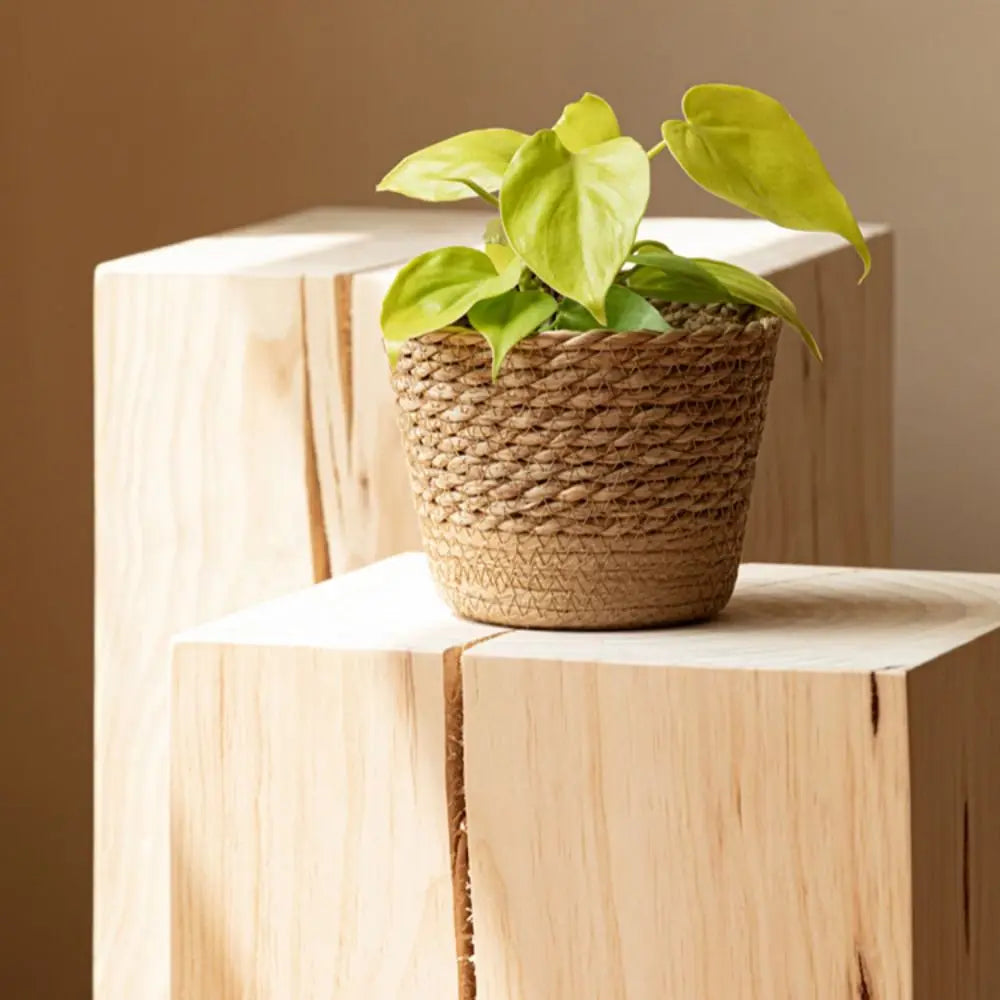 Straw Weaving Flower Plant Pot Wicker Basket Rattan Flowerpot Storage