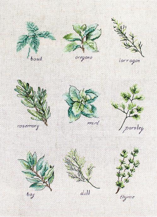 Spices and herbs B2346L Counted Cross-Stitch Kit